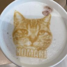 爽菜