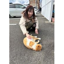 ノラたん
