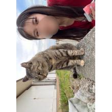 にゃーご