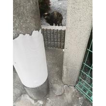 ゆずは